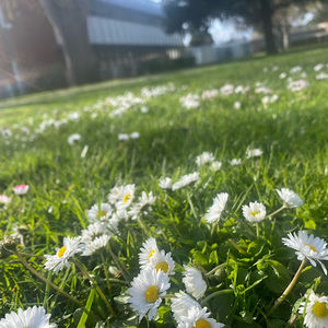 Meet your Posher, Harper